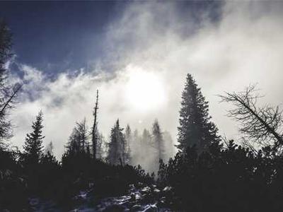 业财融合的数字化转型实践