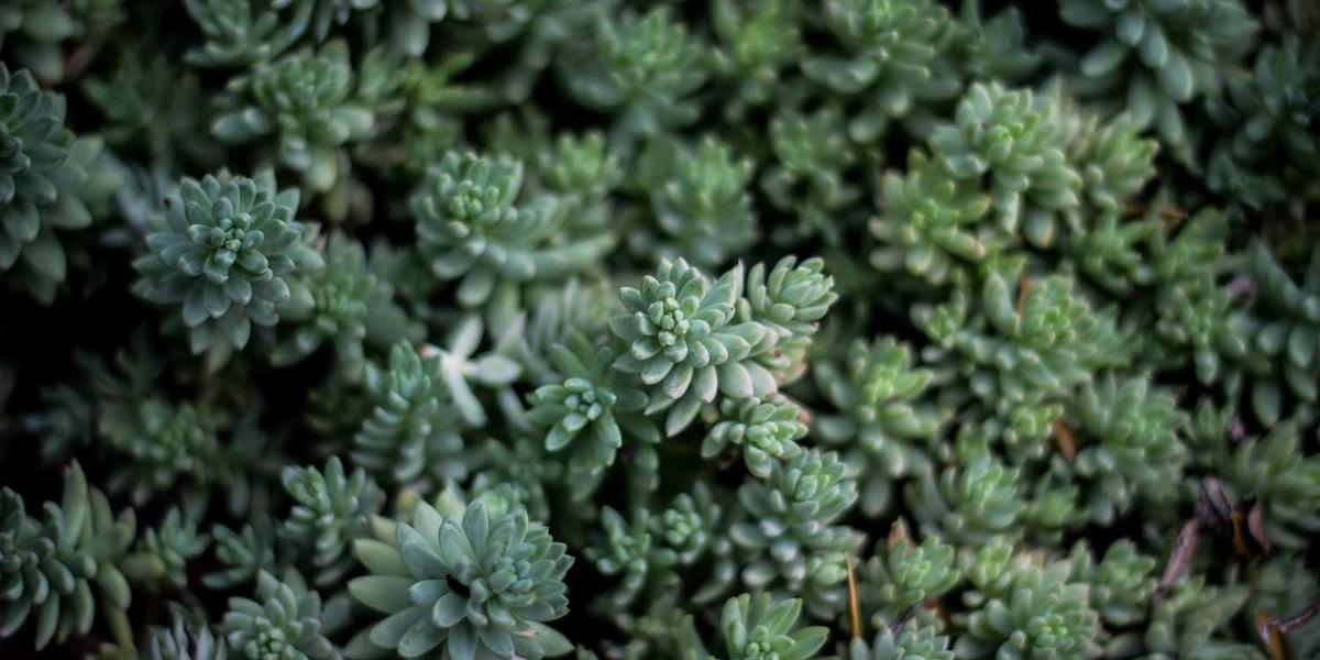 企业数据治理的最佳实践